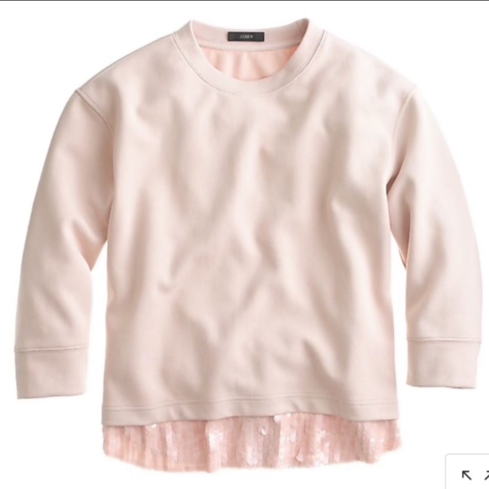 JCrew Sweatshirt